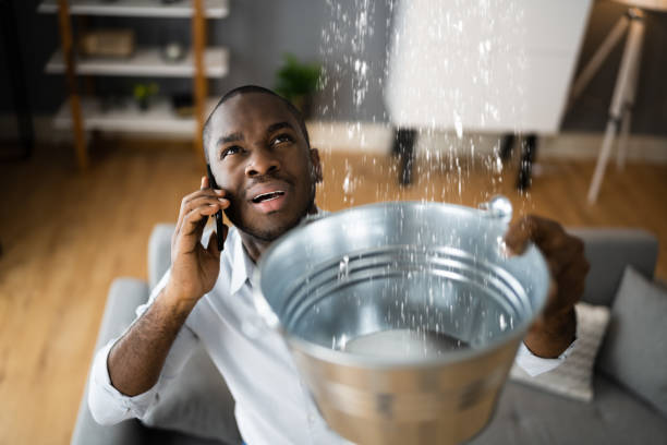 Best Mold removal after water damage  in Elgin, IL