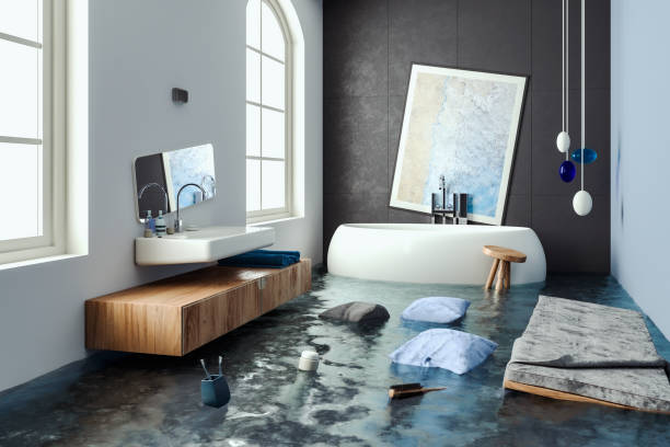 Best Water damage restoration near me  in Elgin, IL