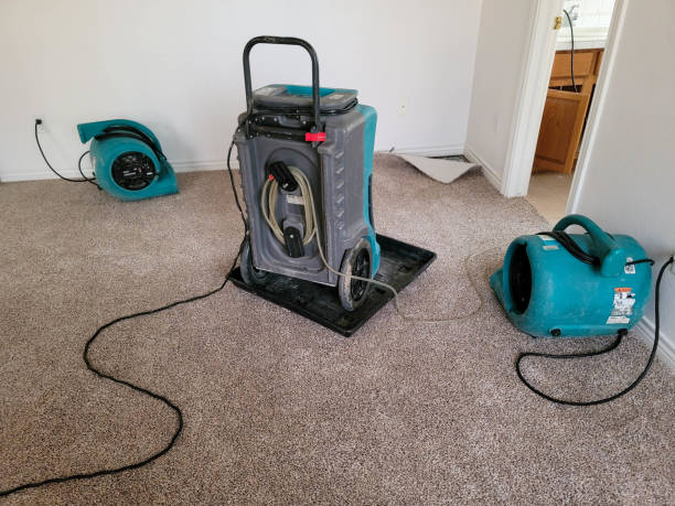 Best Residential water damage restoration  in Elgin, IL