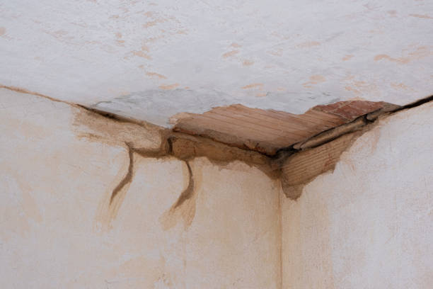 Best Water damage restoration company  in Elgin, IL