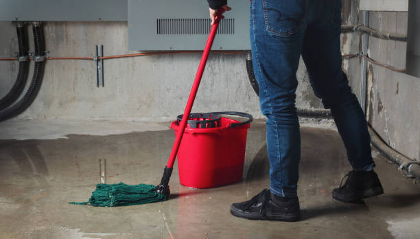 Best Ceiling water damage repair  in Elgin, IL