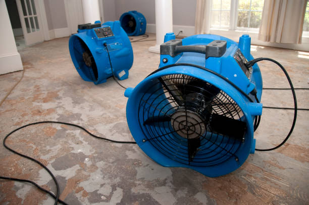 Best Flood damage cleanup  in Elgin, IL