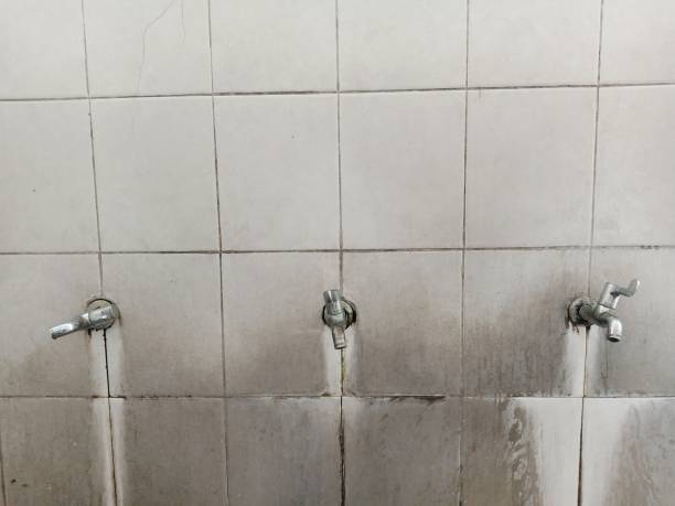 Best Carpet water damage restoration  in Elgin, IL