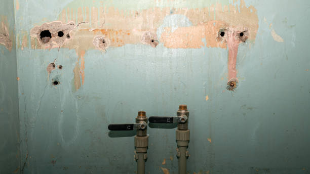 Best Flood restoration services  in Elgin, IL