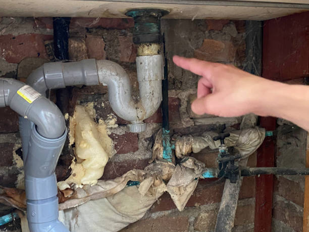Water damage restoration insurance claims in IL