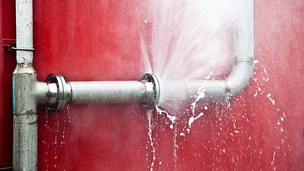 Best Professional water damage repair  in Elgin, IL
