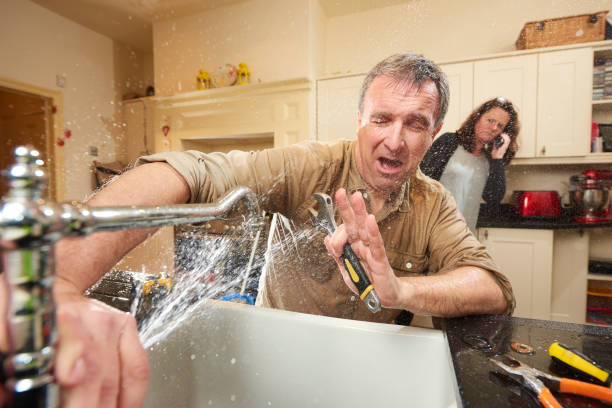 Best Water damage cleanup near me  in Elgin, IL